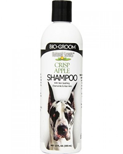 Bio Groom Crisp Apple šampon